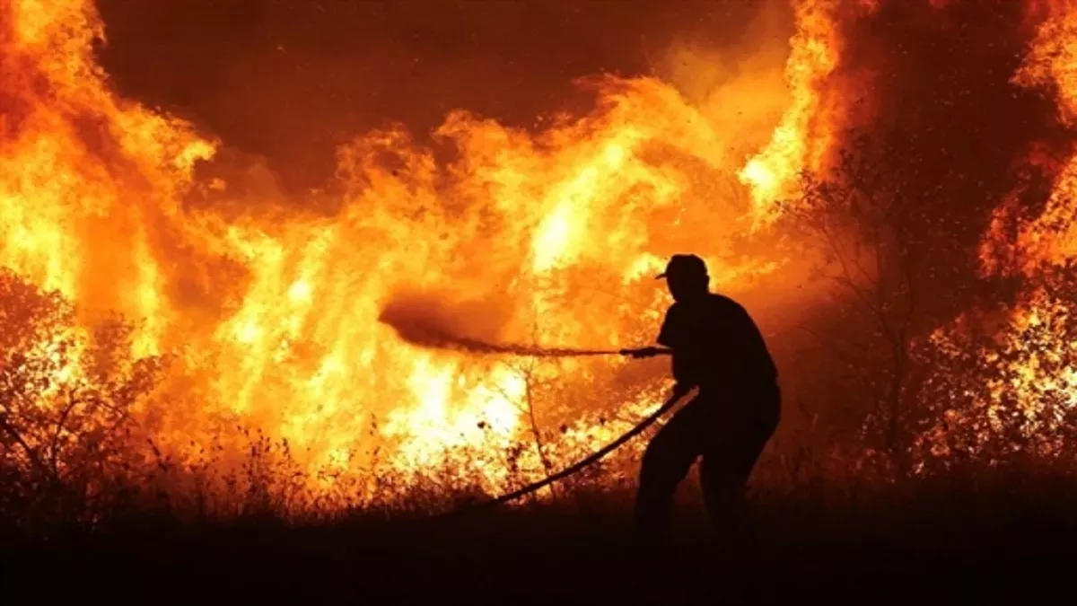 Greece Forest Fire
